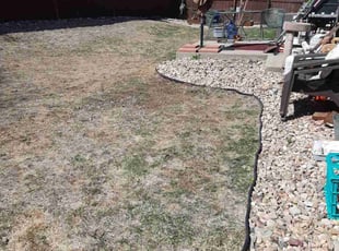 Cleanups by Angela Shinaut for Michael H. in Centennial, CO