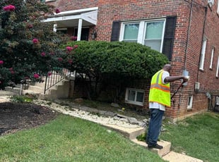 Bush Trimming by Norman Blanchard for Cicely M. in Washington, DC