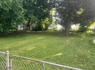 Cheryl M.'s Grass Cutting service result