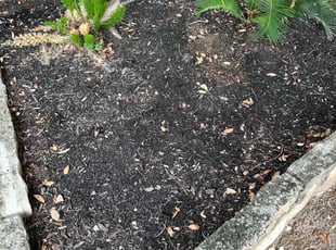 Weeding by Brian Sky for Karen L. in San Antonio, TX