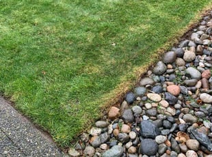 Marcia S.'s Lawn Mowing service result