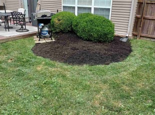 Mulching by Charles Williamson for Brandon S. in Lexington, KY