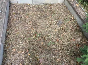 Weeding by Joshua Randle for Susan F. in Union City, GA