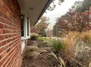 Weeding by Angel P. for Sam S. in Springfield, VA