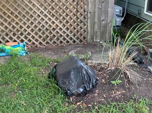 Leaf Removal by Shaun Gaston for Christine M. in Pensacola, FL