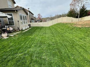 Deanna A.'s Lawn Mowing service result