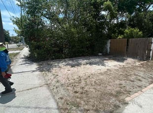 Bush Trimming by Feliciano Perez for Christopher C. in Tampa, FL