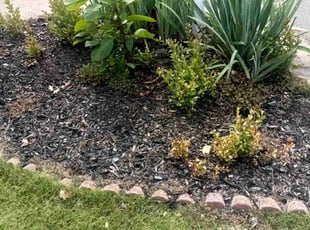 Leaf Removal by Enrique Juarez for Jan J. in Woodstock, GA