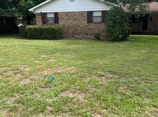 Bush Trimming by Travis Frederickson for Ashley W. in Pensacola, FL