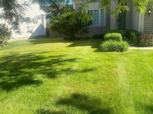 Cleanups by Adrian Zapata for Wendy P. in Naperville, IL