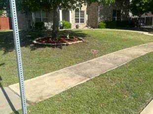 Roland H.'s Lawn Care service result