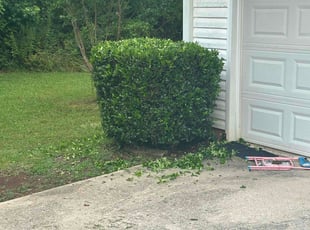 Bush Trimming by Jeremy Lane for Angela J. in Griffin, GA