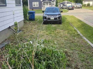 Weeding by Kevin Quinn for Karen A. in Des Moines, IA