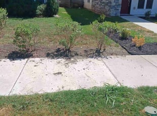 Weeding by Mark DeLeon for Cody R. in Austin, TX