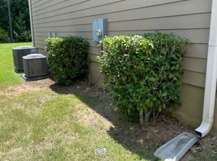 Bush Trimming by Akeem Lawrence for Jerome R. in Columbia, SC