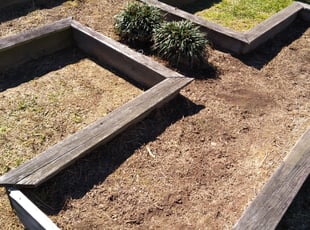 Weeding by Leo Hollies for Stacey H. in 1, LA