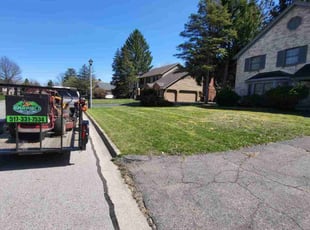Jamie M.'s Grass Cutting service result
