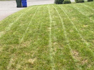 Randi M.'s Lawn Care service result