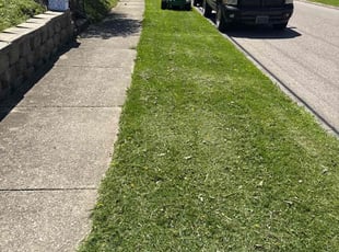 Robin K.'s Lawn Care service result