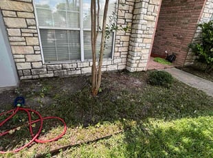 Leaf Removal by Osmin Salvador for Marggi M. in Rowlett, TX