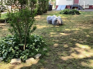 Leaf Removal by Virginia Cordero for Sidney K. in New Haven, CT