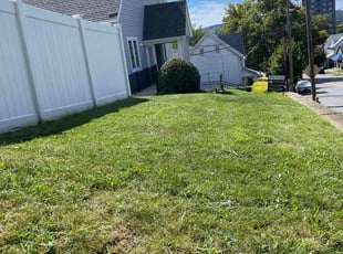 Edward A.'s Lawn Mowing Service service result