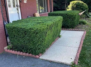 Bush Trimming by ROLANDO ICO COC for Antoinette B. in Lancaster, PA