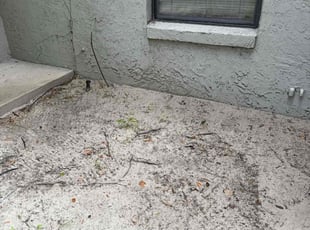 Leaf Removal by Christopher Oropeza for Leroy T. in Orlando, FL