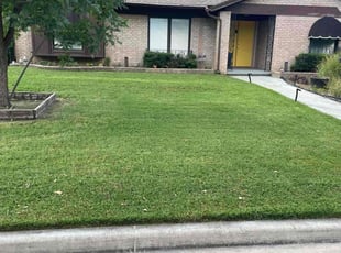 Benjamin P.'s Lawn Mowing service result