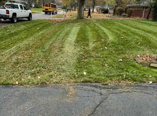 Leaf Removal by Japheus Sanders for Lisa M. in Farmington Hills, MI