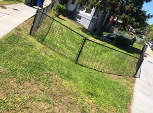 Bush Trimming by Marcus Stout for Ada O. in Washington, D.C., DC