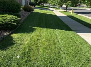 Bobby H.'s Lawn Mowing service result