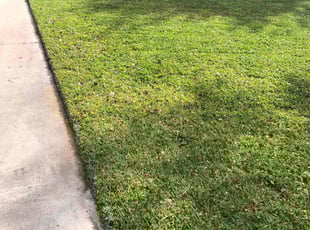 Lori L.'s Lawn Service service result
