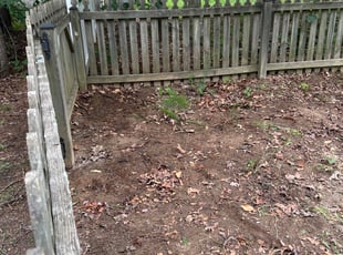 Leaf Removal by Robert Hatton for Joel S. in Fredericksburg, VA