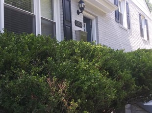 Bush Trimming by Ronnell Leak for Toni G. in Washington, DC