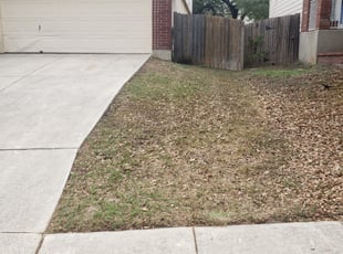 Leaf Removal by Marcus Resendes for Patsy D. in San Antonio, TX