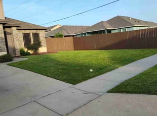 Benigno G.'s Lawn Care service result