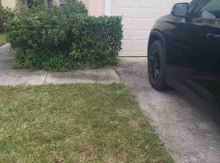 Bush Trimming by Aderias Rollins for Marlon C. in Jacksonville, FL