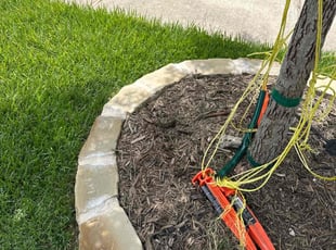 Weeding by Patrick Stewart for Shelley T. in McKinney, TX