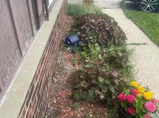 Cleanups by Joshua Ojeda for La-Toya N. in Milwaukee, WI