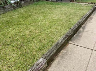 George O.'s Lawn Mowing service result