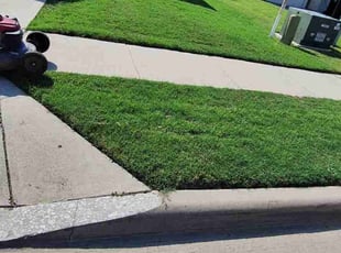 Geoffrey G.'s Lawn Mowing service result