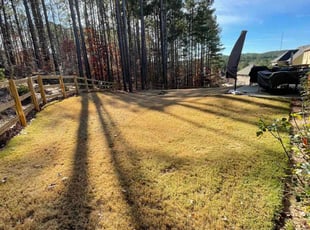 Leaf Removal by Travis Hoggard for Carlos B. in Dallas, GA