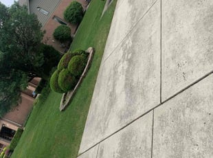 Steve B.'s Lawn Care service result