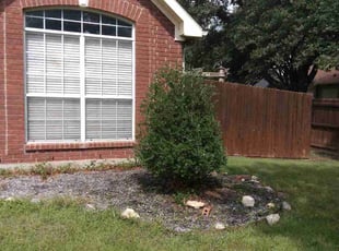 Bush Trimming by Jason George for Rob B. in Fort Worth, TX