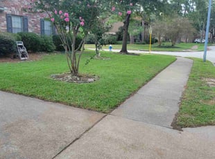 cindy b.'s Lawn Mowing service result