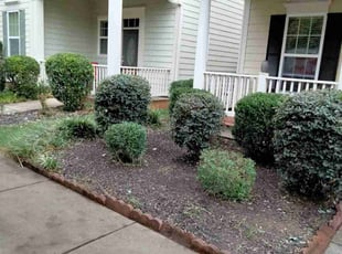 Bush Trimming by Tevin Cofield for Christine A. in Raleigh, NC