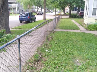 Bush Trimming by David Gallaway for Josh B. in Saint Paul, MN