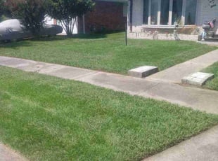 Joe D.'s Lawn Service service result