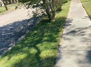 Clay R.'s Lawn Care service result
